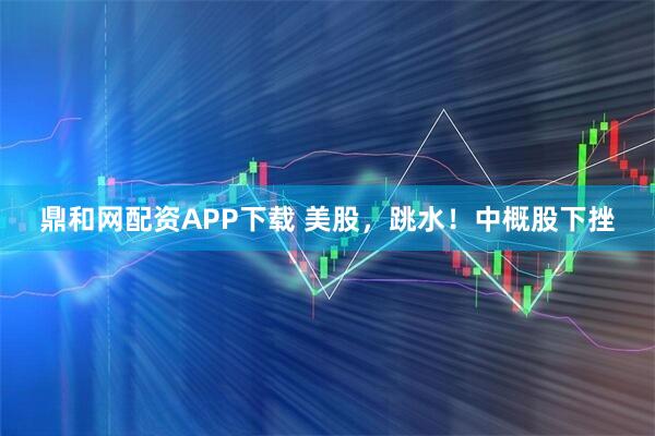 鼎和网配资APP下载 美股，跳水！中概股下挫