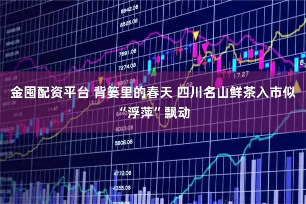 金囤配资平台 背篓里的春天 四川名山鲜茶入市似“浮萍”飘动