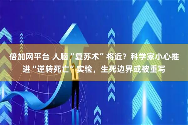 倍加网平台 人脑“复苏术”将近？科学家小心推进“逆转死亡”实验，生死边界或被重写