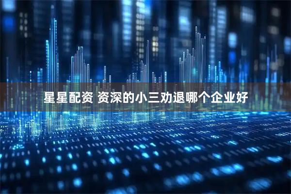 星星配资 资深的小三劝退哪个企业好